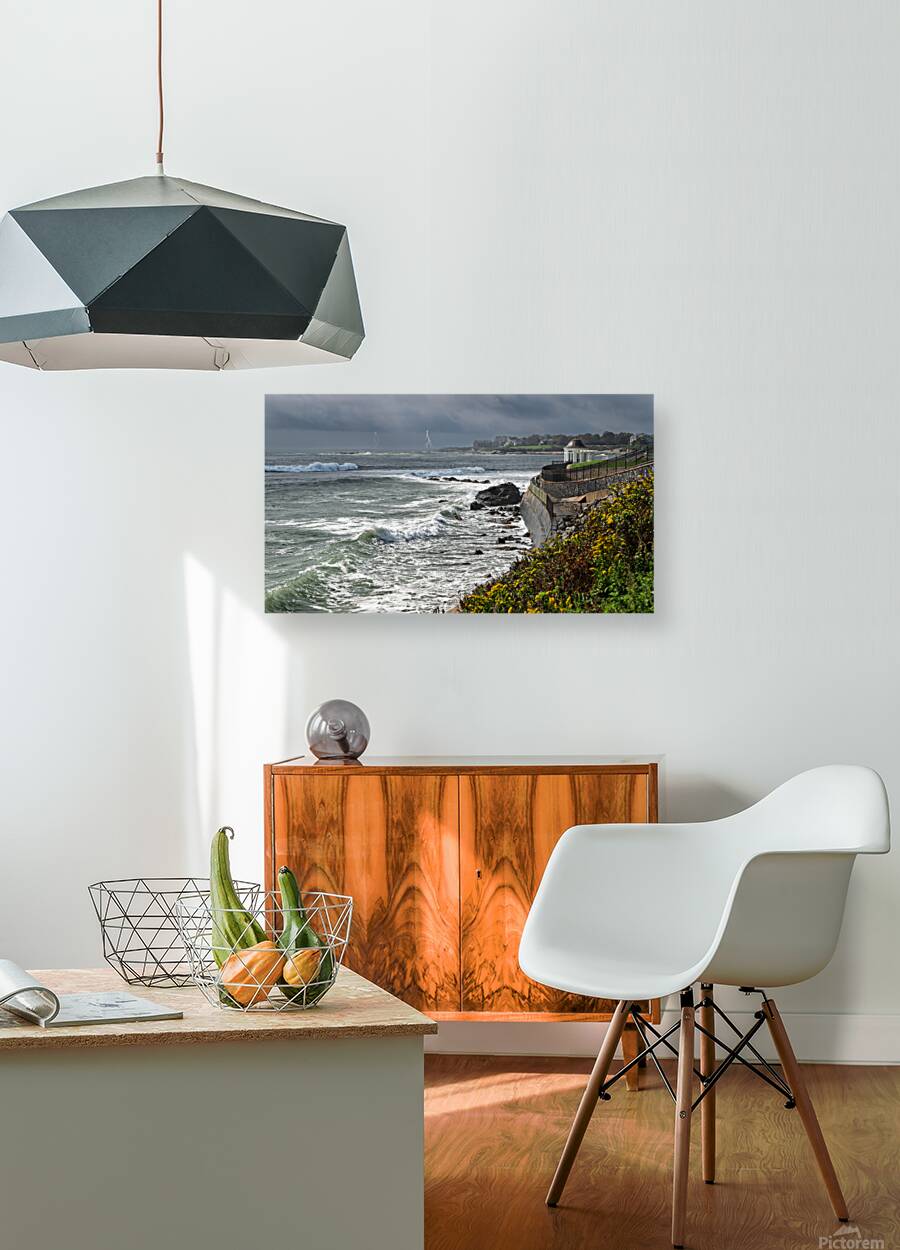 Storm is Coming Reproduction