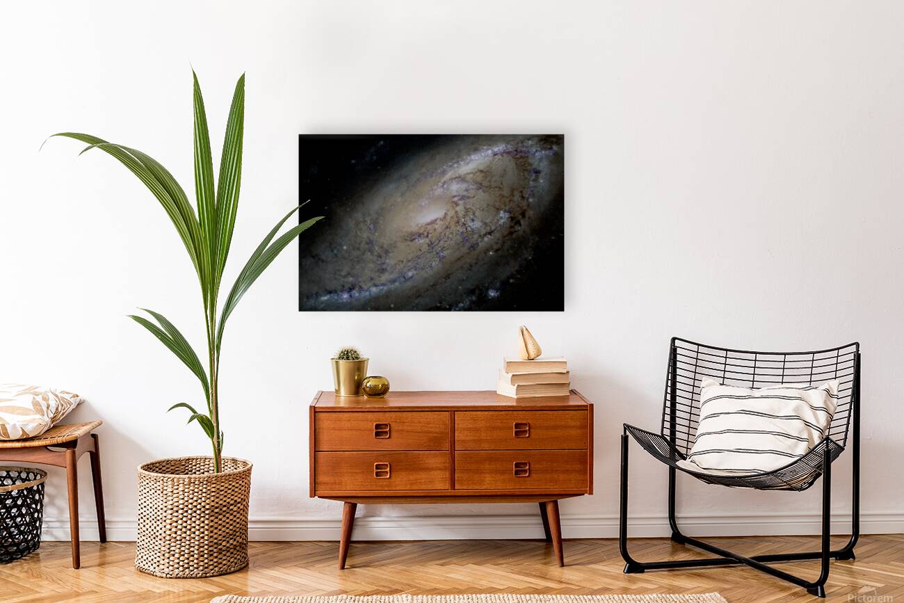 M106 - Spiral Galaxy Reproduction