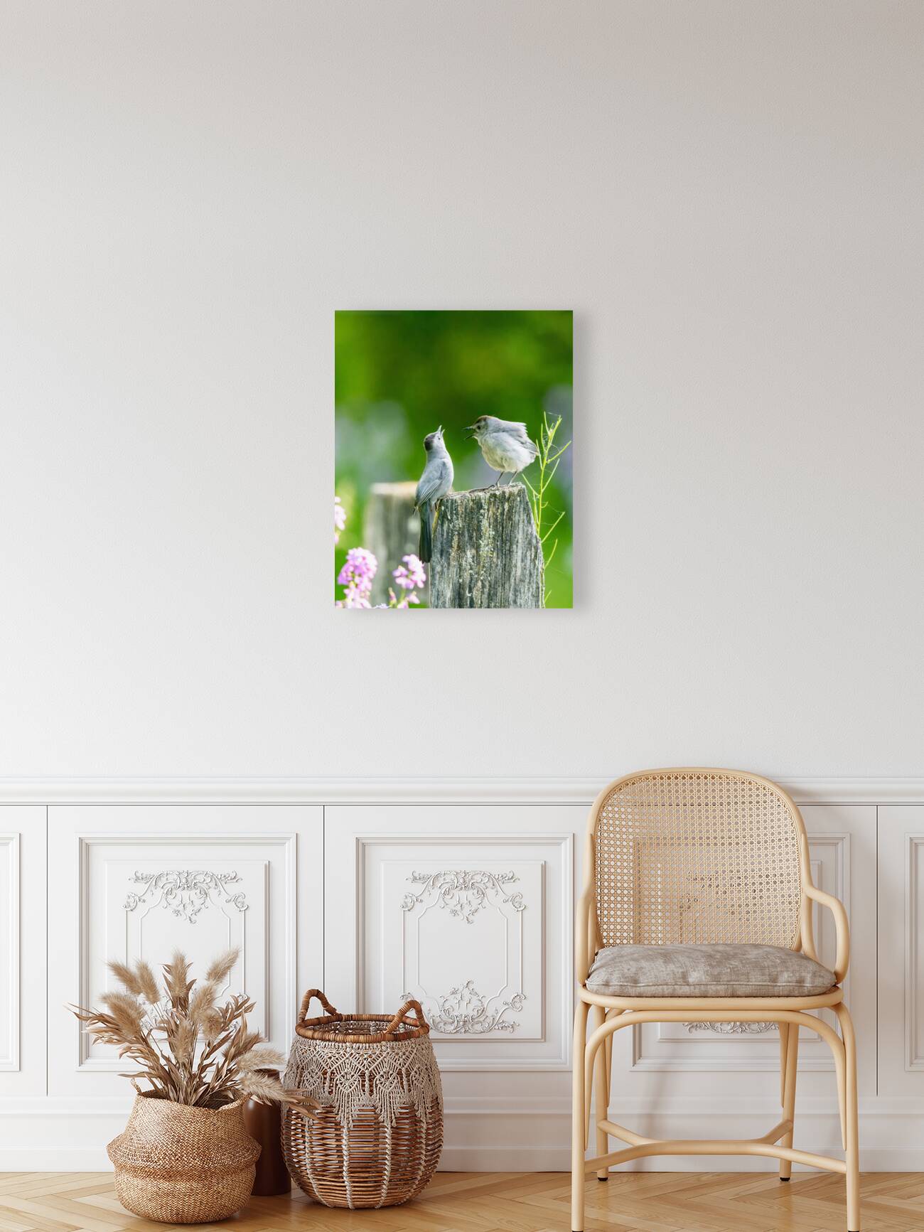 Two Cat Birds having a Conversation Reproduction