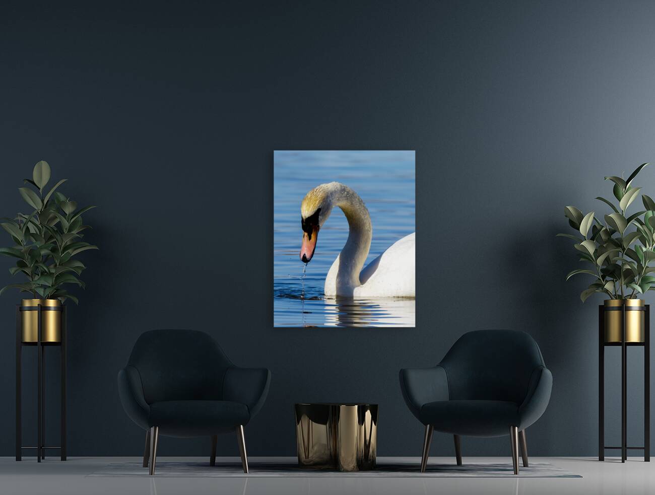 Swan on a Lake Reproduction