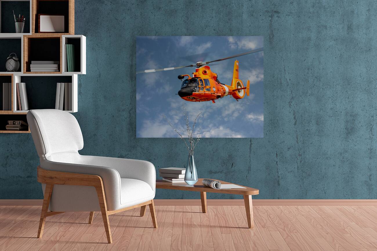 Eurocopter MH-65 Dolphin Reproduction