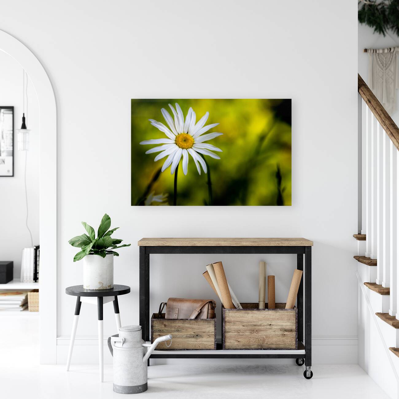 A Solitary Daisy Reproduction