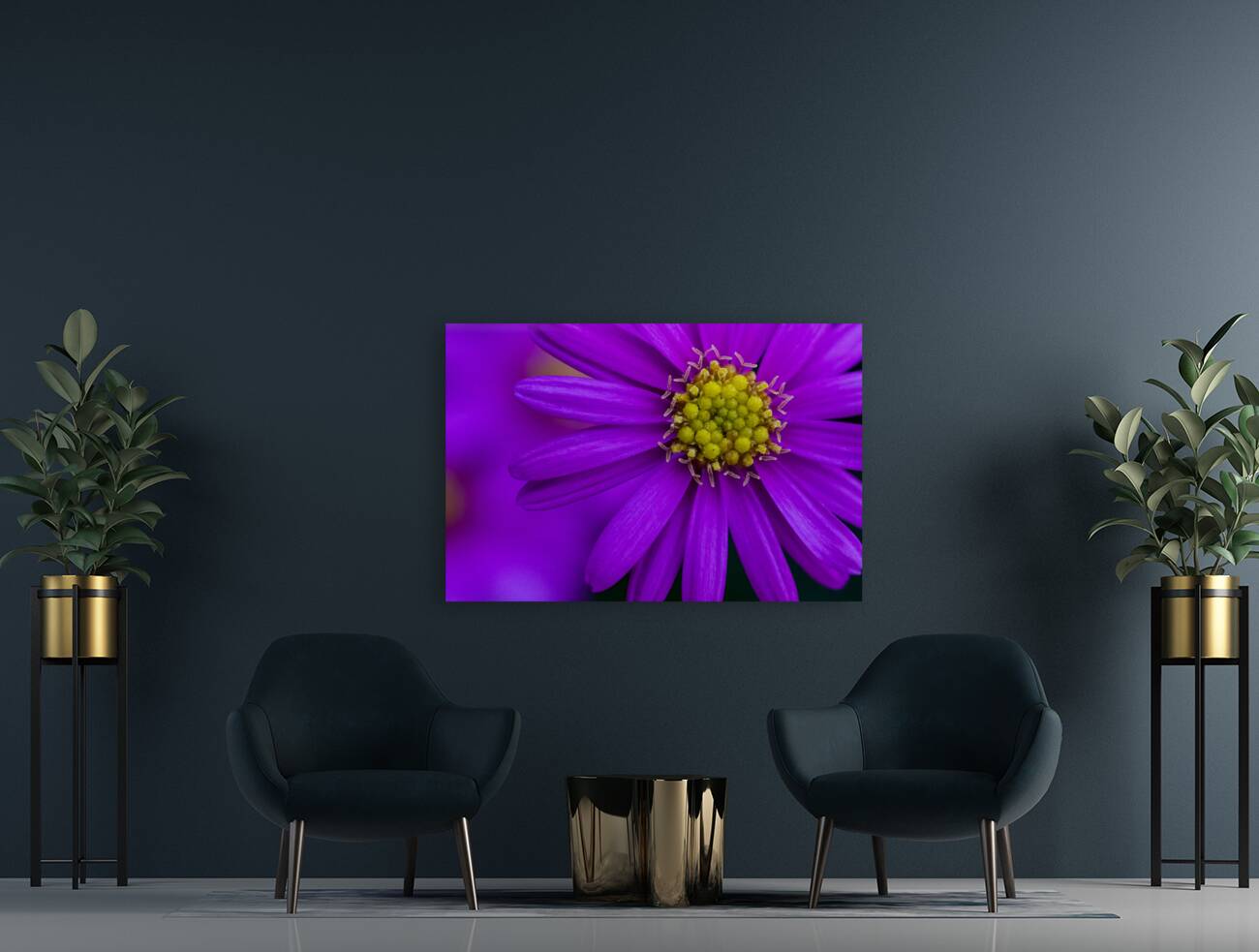 Purple Aster Reproduction
