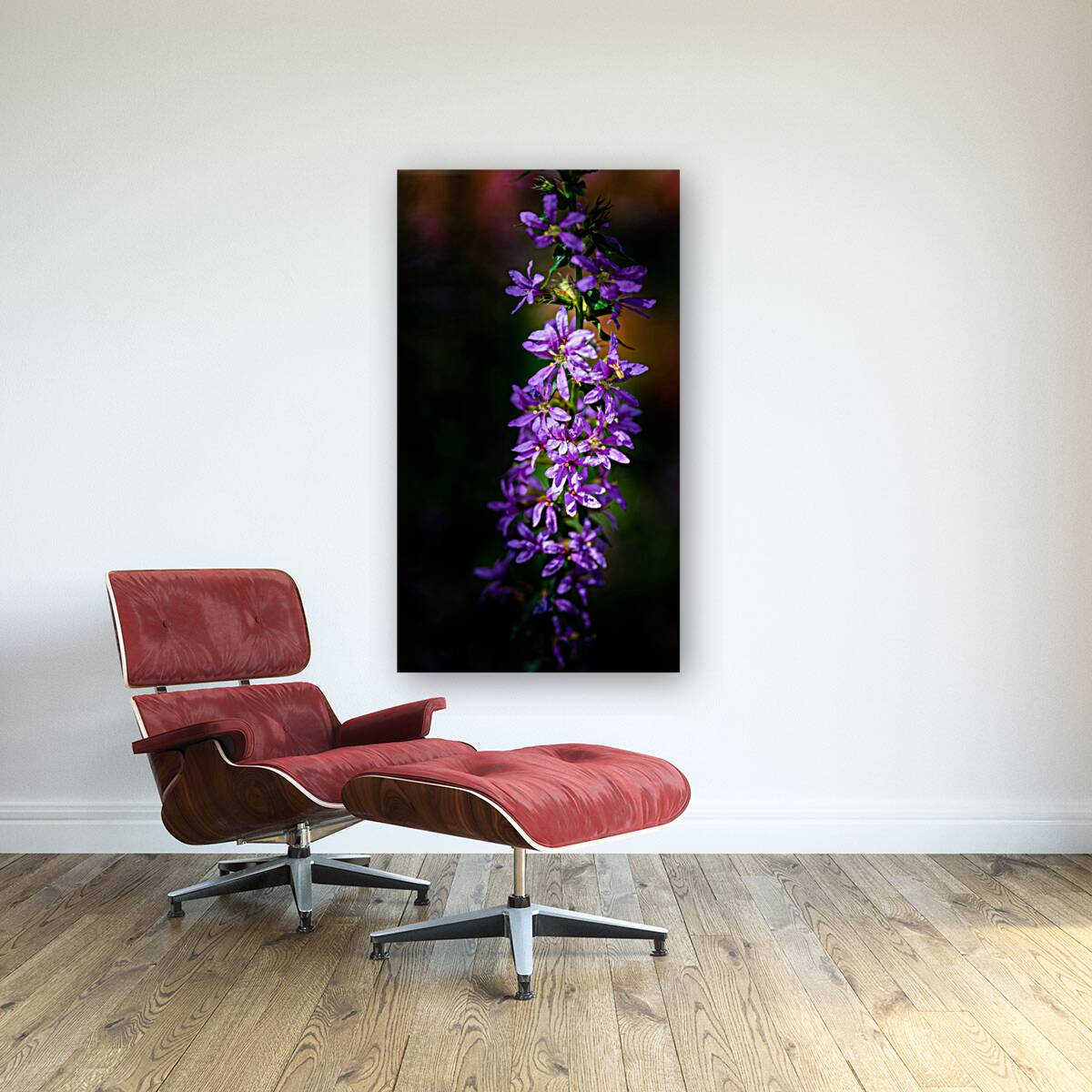 Purple Loosestrife Reproduction