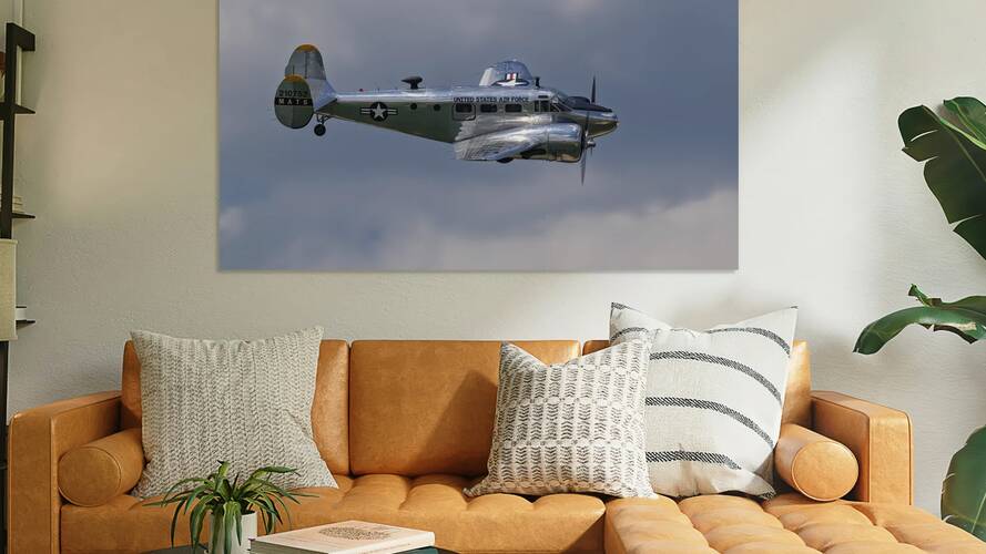 Silver Wings Amongst the Clouds Reproduction
