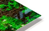 Cleared For Take-Off HD Metal print