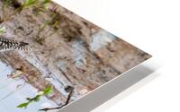 Reflection HD Metal print