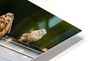 Sparrows on a Roof Impression metal HD