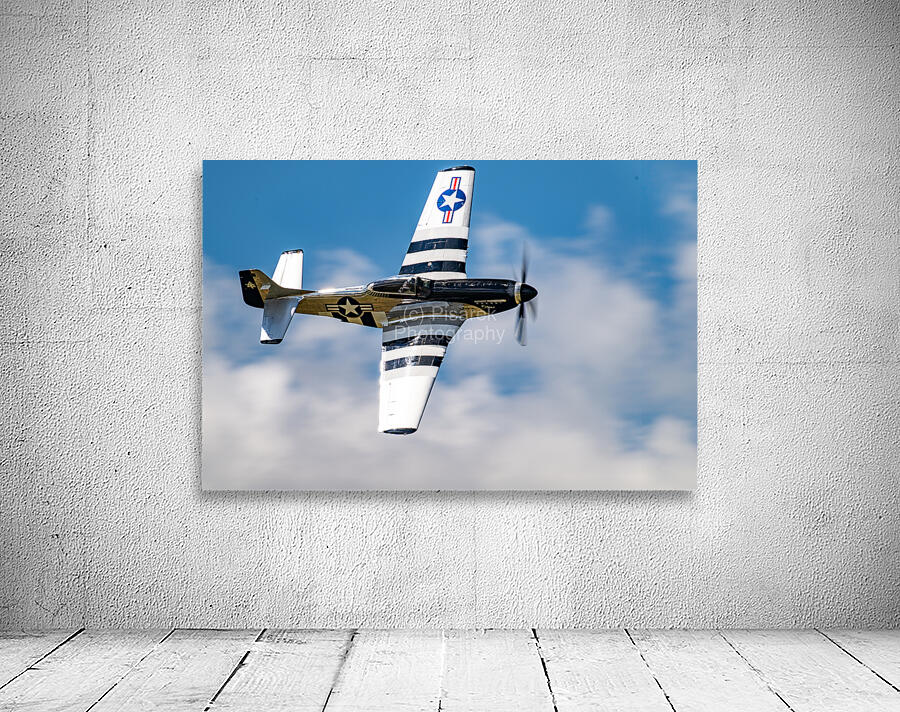 North American Aviation P-51D Mustang - Quick Silver Wall Preview