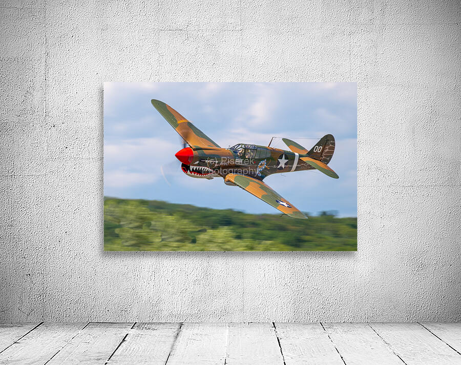 Curtiss P-40 Warhawk Wall Preview