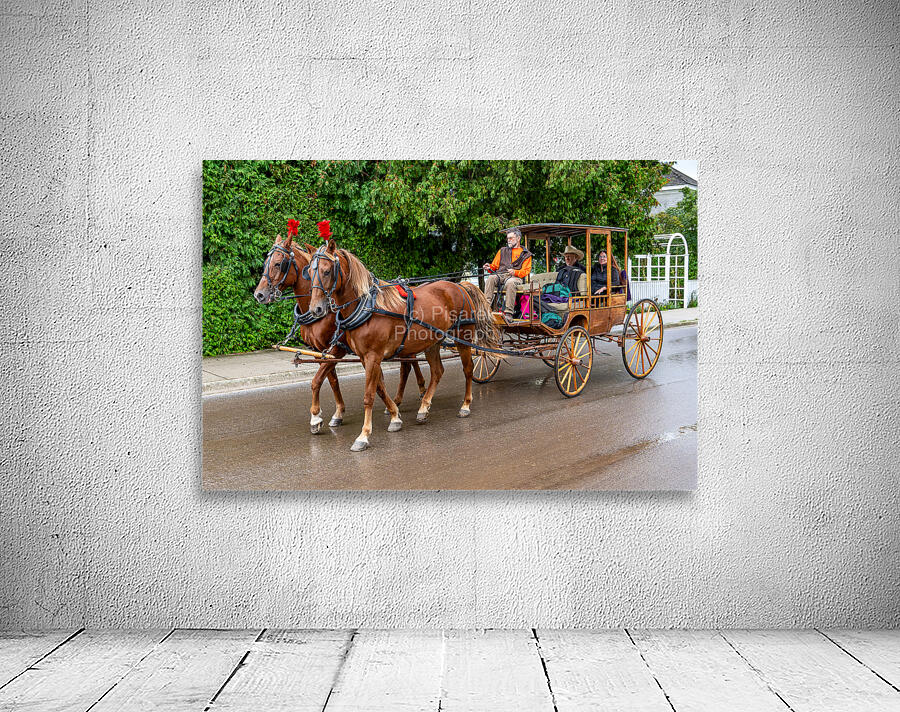 Horse and Carriage on Mackinac Island Wall Preview