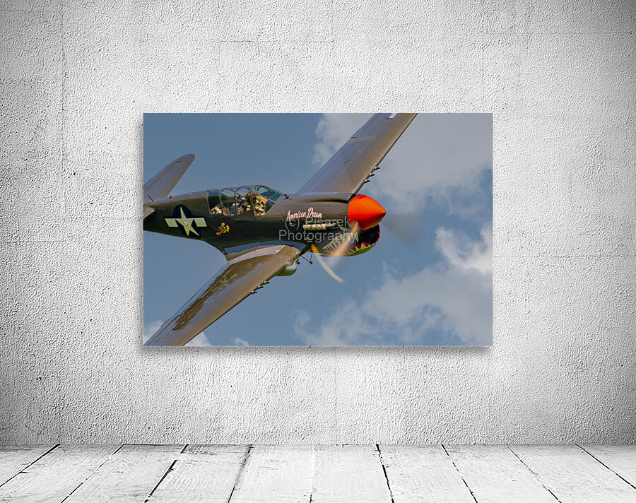 Curtiss P-40 Warhawk - American Dream Wall Preview