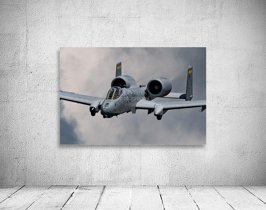 Fairchild Republic A-10 Warthog Wall Preview