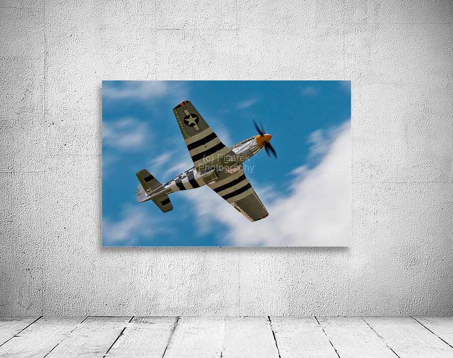 North American Aviation P-51 Mustang Bald Eagle Wall Preview