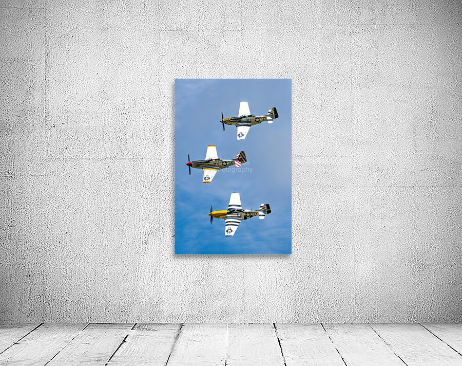 Jack Aces Flight Demonstration Team Wall Preview