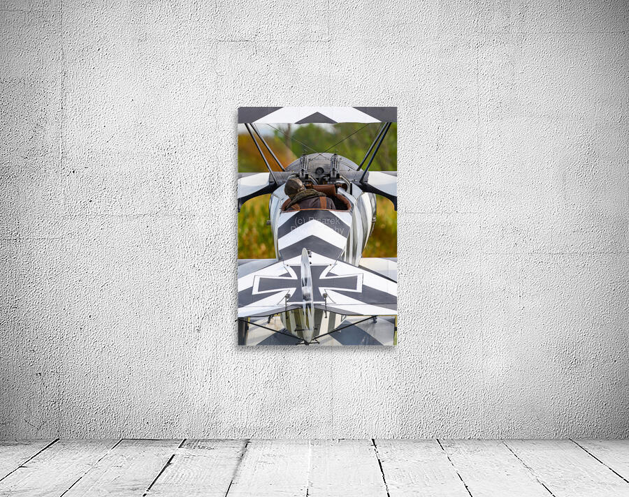 German Fokker Dr.1 Triplane Wall Preview