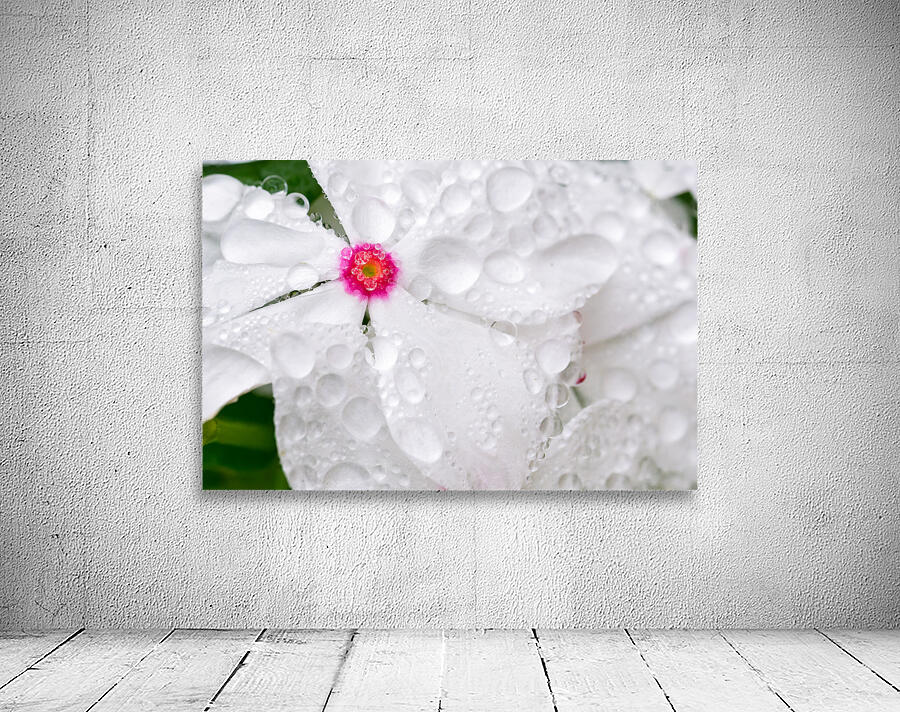 After The Storm Wall Preview