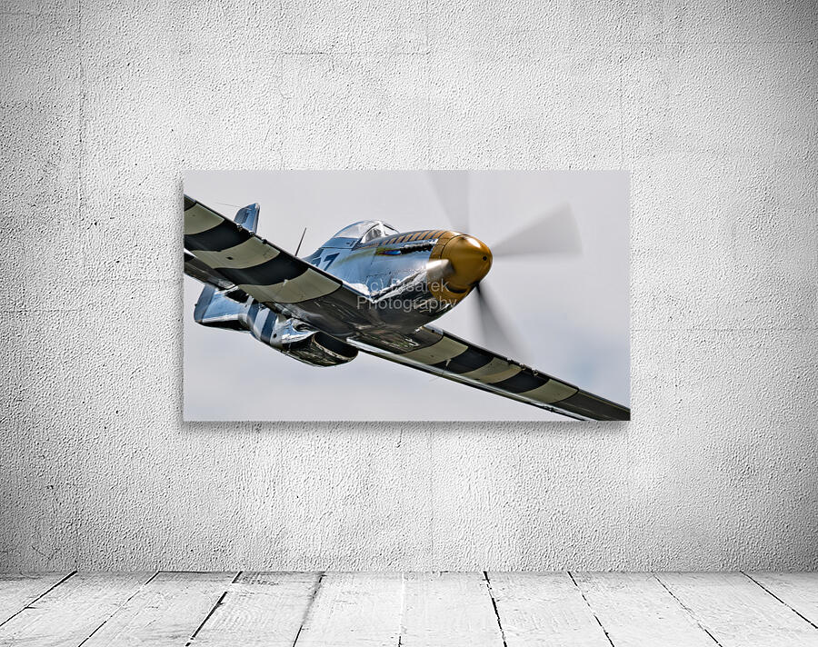 P-51 Mustang - Bald Eagle - Speed and Power Wall Preview
