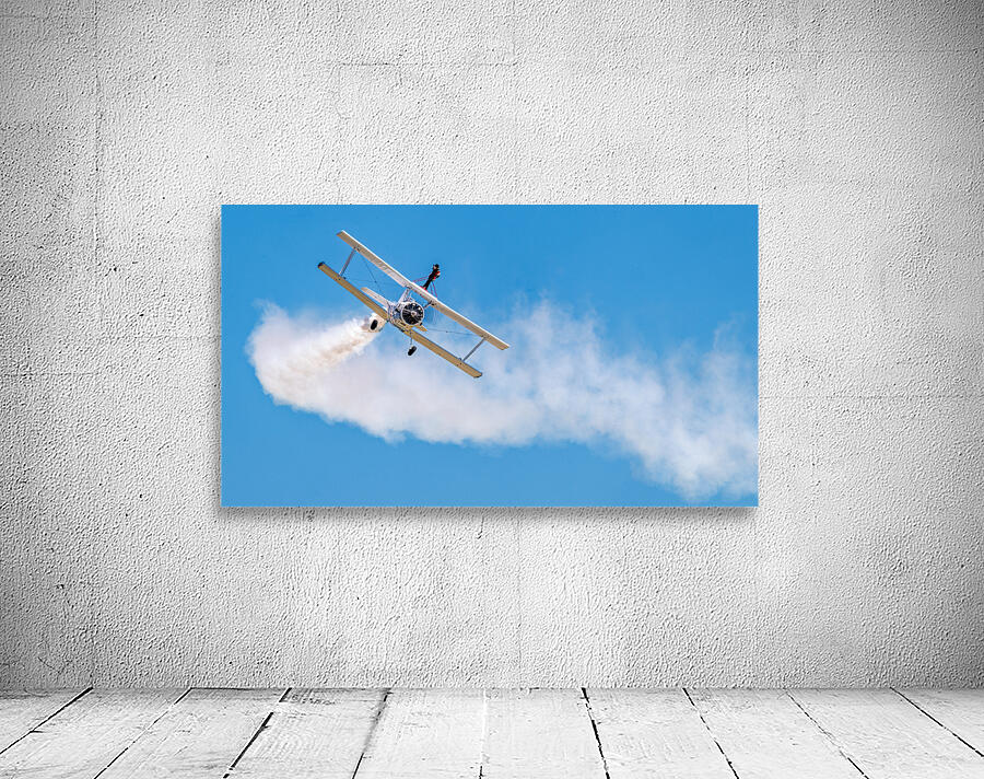 Grumman C-164 Ag Cat  and a Daring WingWalker.  Wall Preview