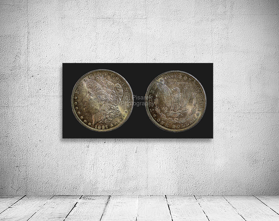 1897 United States Morgan Silver Dollar Wall Preview