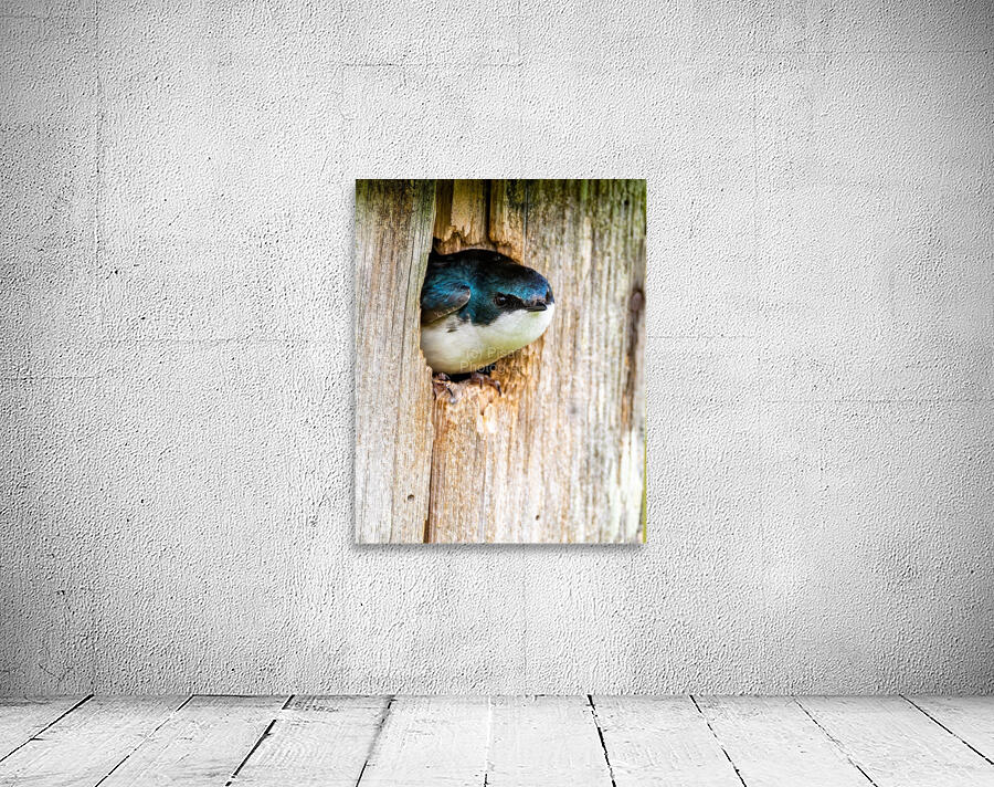 Hello There Wall Preview