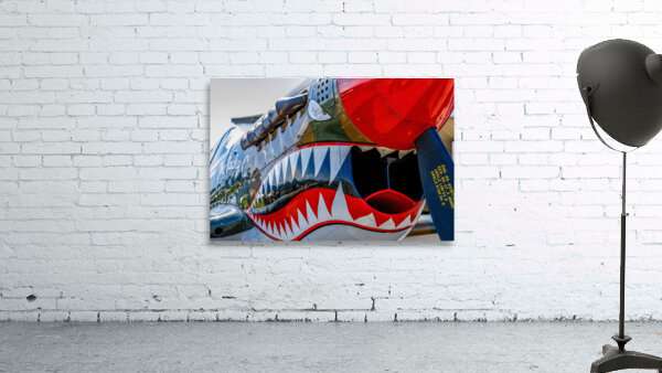 Curtiss P-40 Warhawk Nose Art Wall Preview