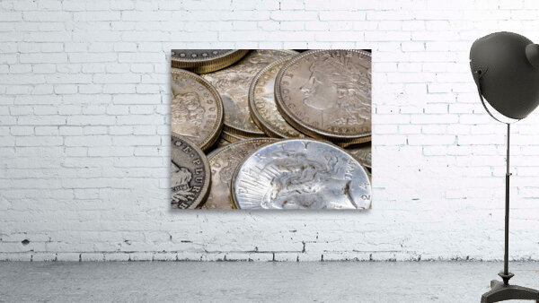 Silver Dollars Wall Preview
