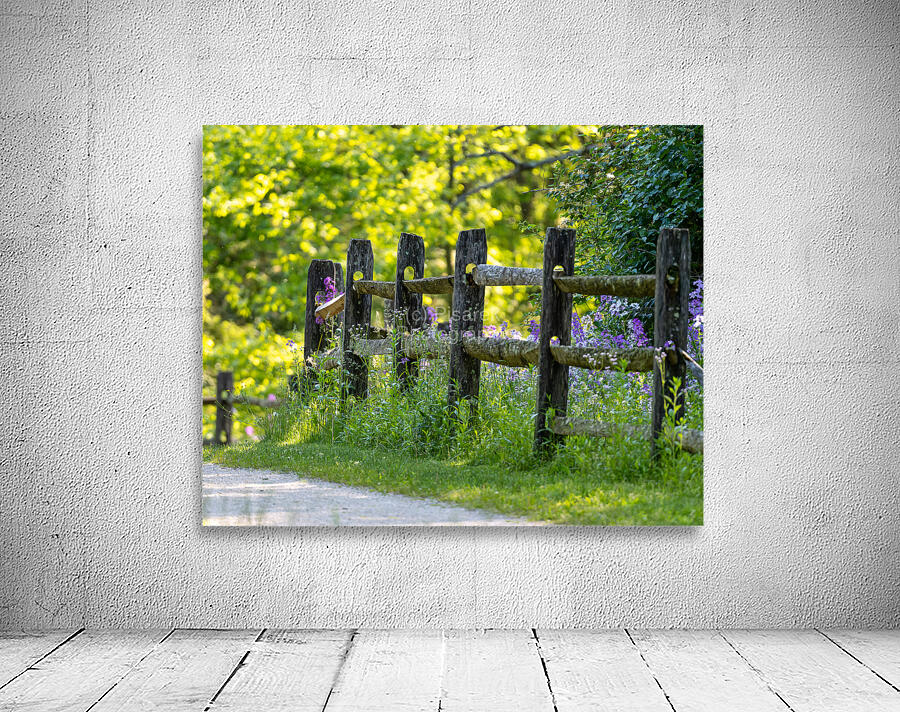 Fence and Flowers Wall Preview