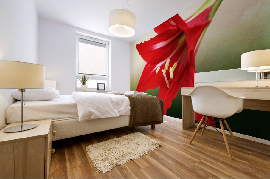 Red Amaryllis Flower 3x2 Mural print