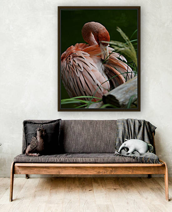 Preening Caribbean Flamingo 8x10 by Studio Dalio
