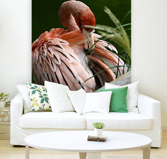 Preening Caribbean Flamingo 5x7 by Studio Dalio