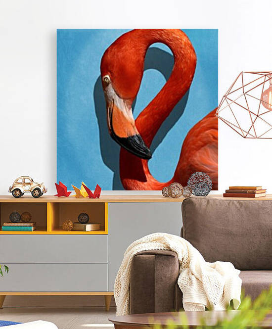Caribbean Flamingo Profile Portrait 8x10 by Studio Dalio