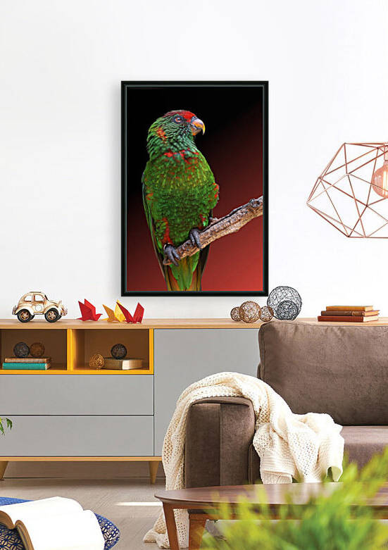 Green Lorikeet Perched on Branch 2x3 by Studio Dalio