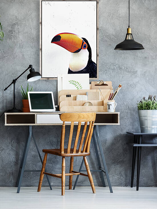 Toco Toucan on White 5x7 by Studio Dalio