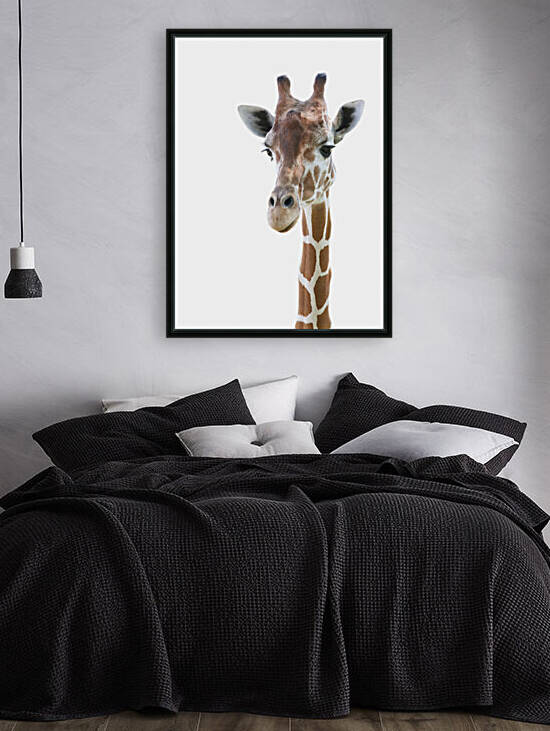 Giraffe Head and Neck on White 5x7 by Studio Dalio