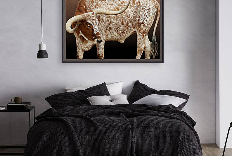Longhorn Steer Profile 7x5 by Studio Dalio