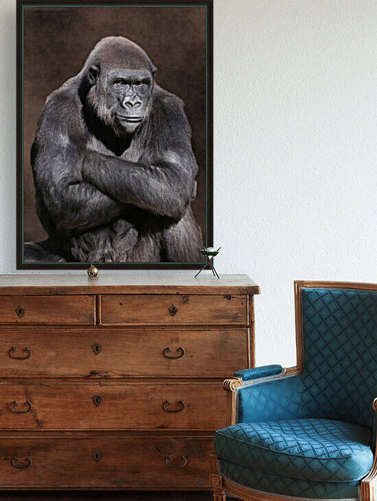 Grumpy Male Gorilla 5x7 by Studio Dalio