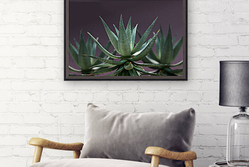 Aloe Aloe Aloe 3x2 by Studio Dalio