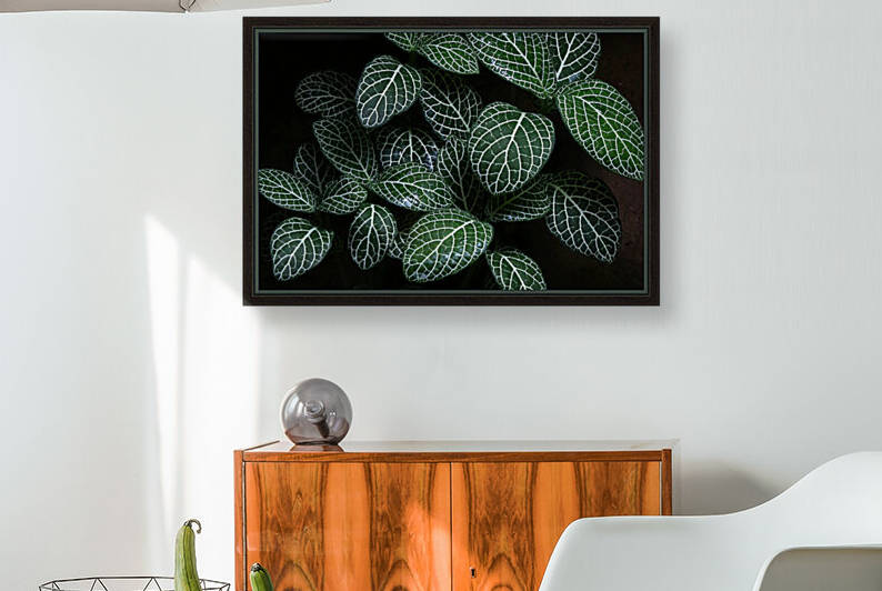 Green Aphelandra Leaves 3x2 by Studio Dalio