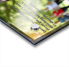 sport is medication  Acrylic print