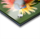  small parrot perched on a branch  Acrylic print