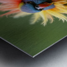  small parrot perched on a branch  Metal print