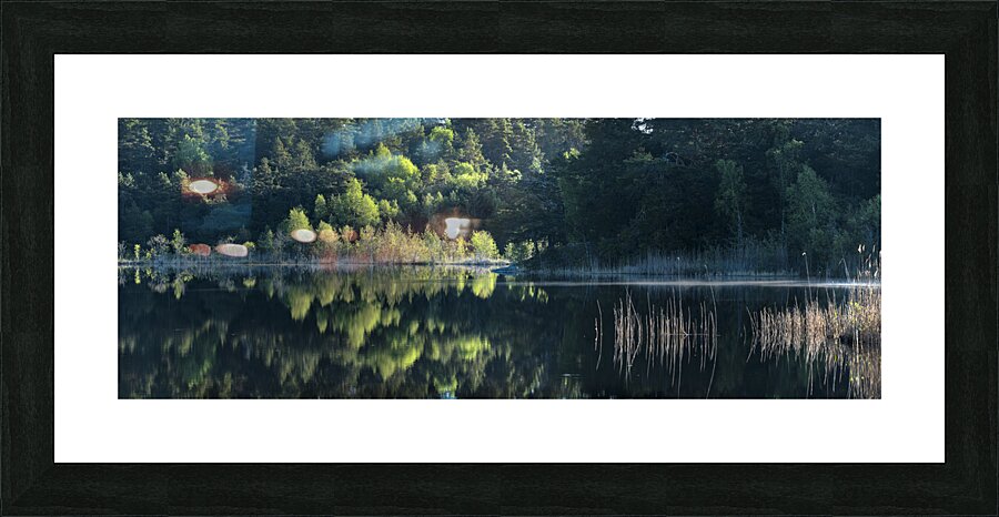 Dammstakaerret Picture Frame print