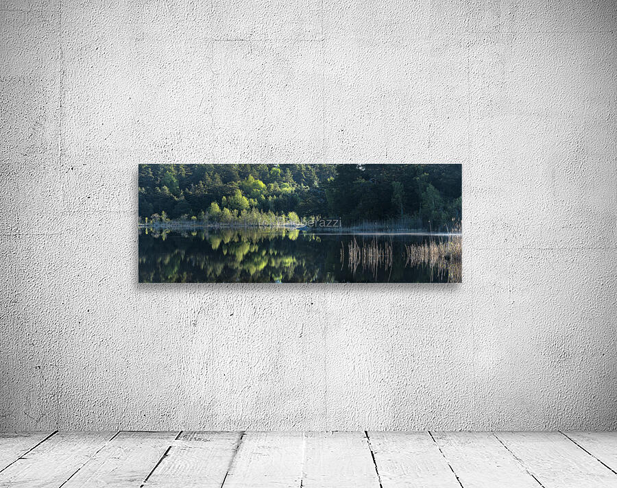 Dammstakaerret Wall Preview