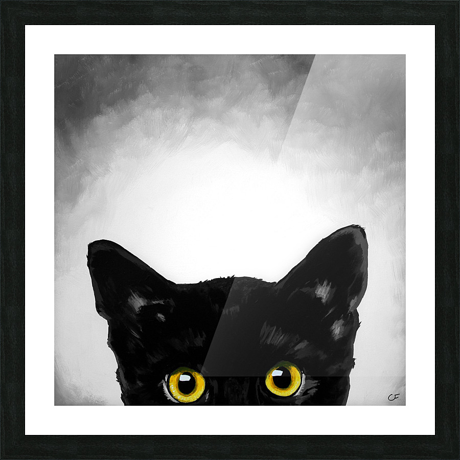 cat8x8Color Picture Frame Printing