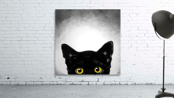 cat8x8Color Wall Preview