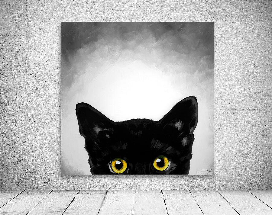 cat16x16color Wall Preview