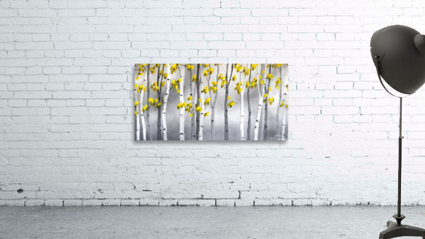 BTLY12X24 Wall Preview