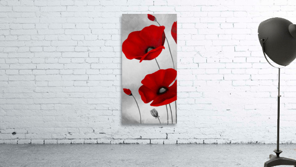 POP9X18Acolor Wall Preview
