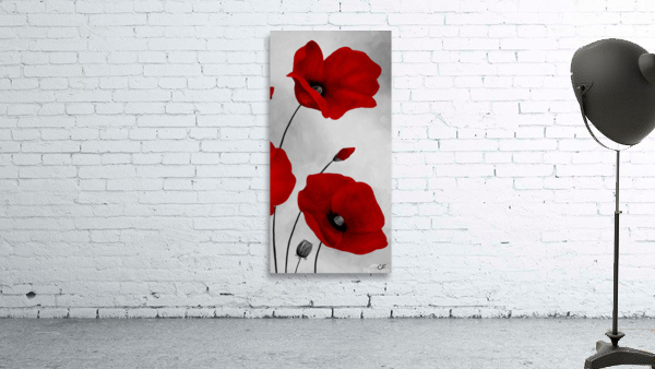 POP9X18Ccolor Wall Preview
